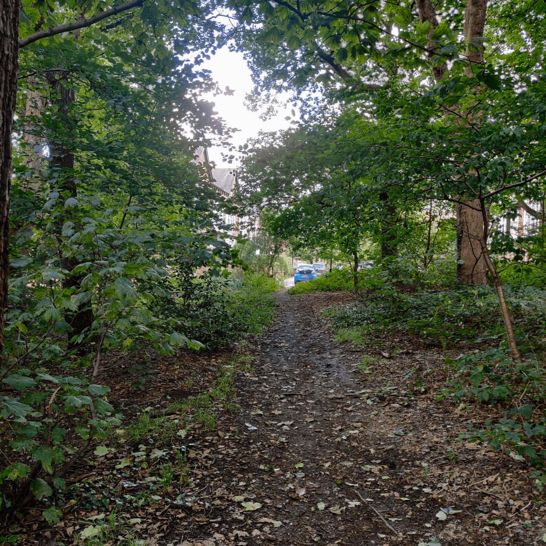 Gipton Wood