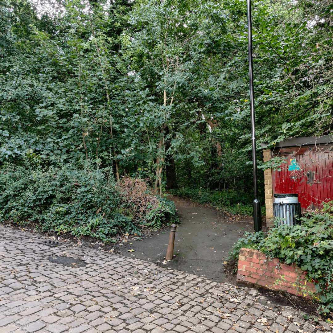 Gipton Wood