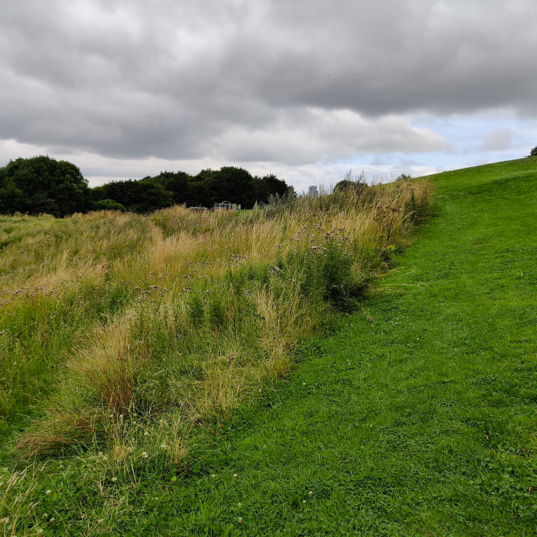 Holbeck Park Hill
