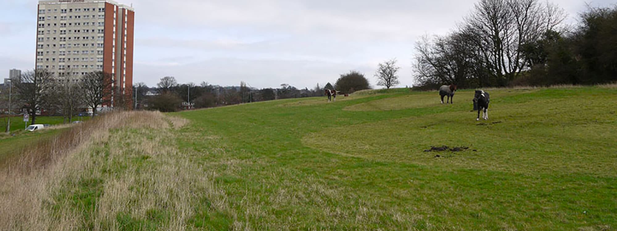 Rein Park