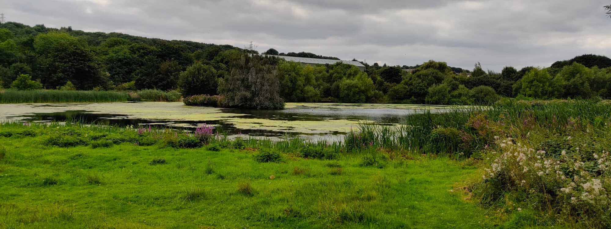 Rodley Nature Reserve