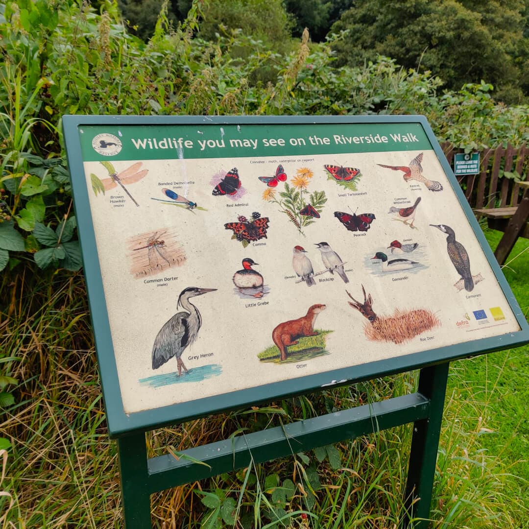 Rodley Nature Reserve sign