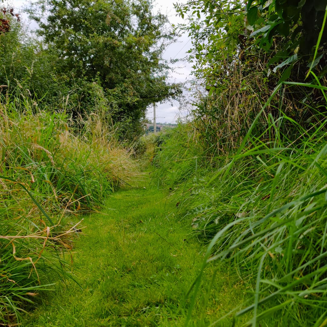 Rodley Nature Reserve path