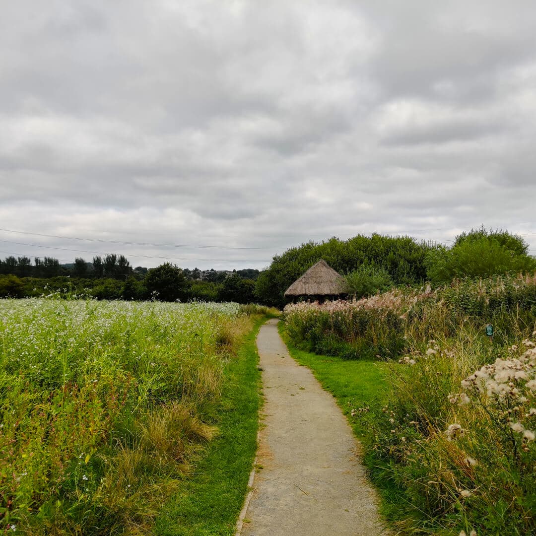 Rodley Nature Reserve path to hide