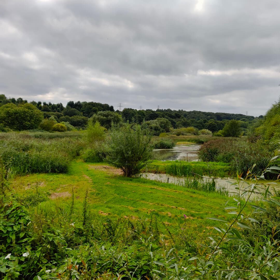 Rodley Nature Reserve