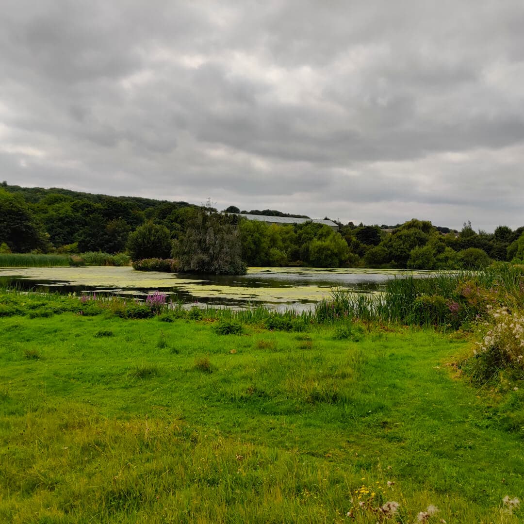 Rodley Nature Reserve
