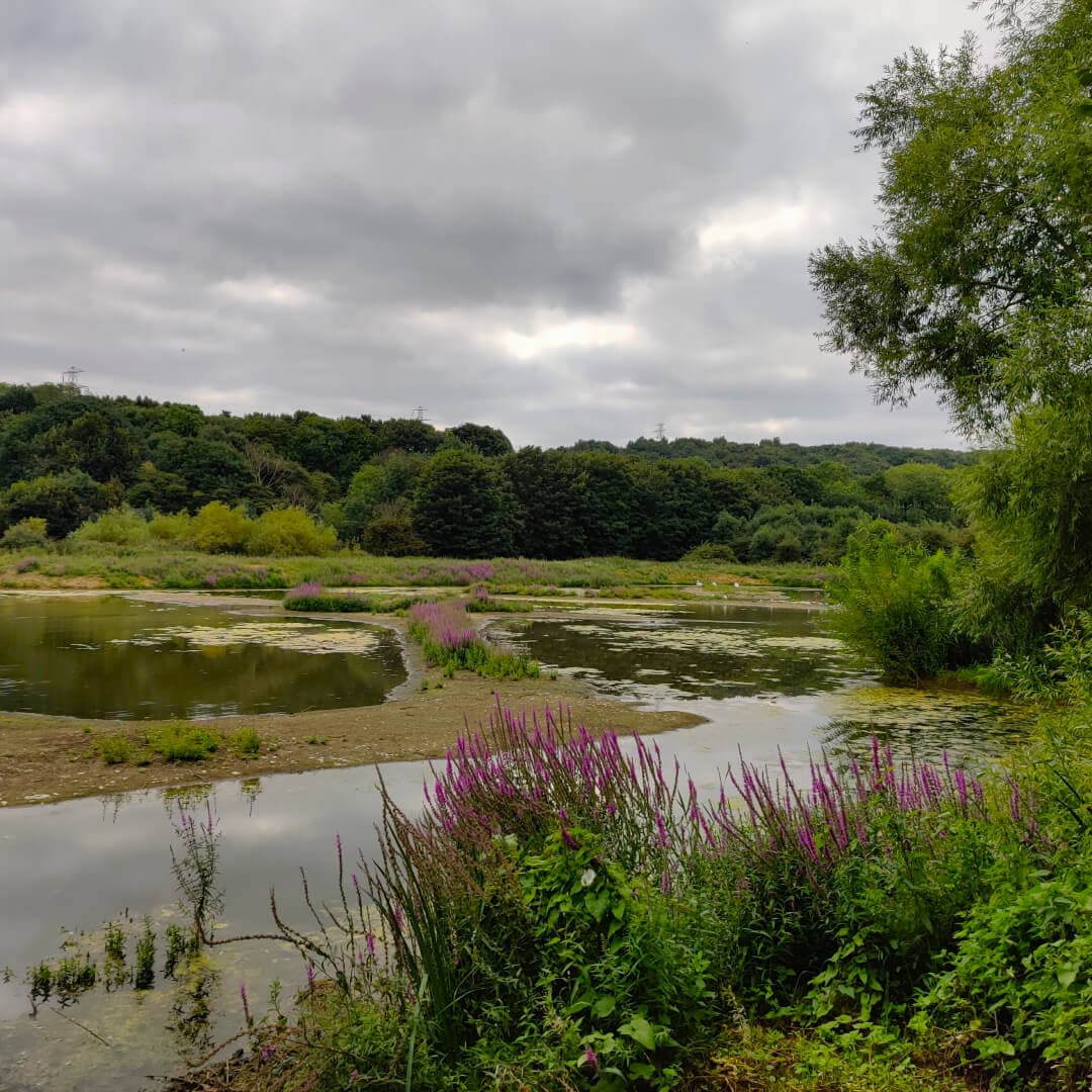 Rodley Nature Reserve