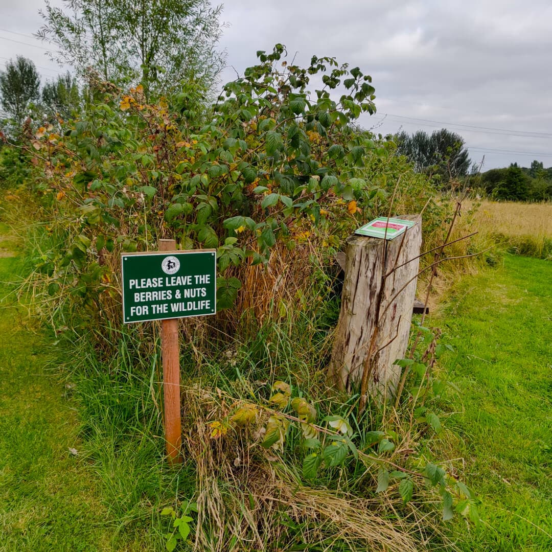 Rodley Nature Reserve