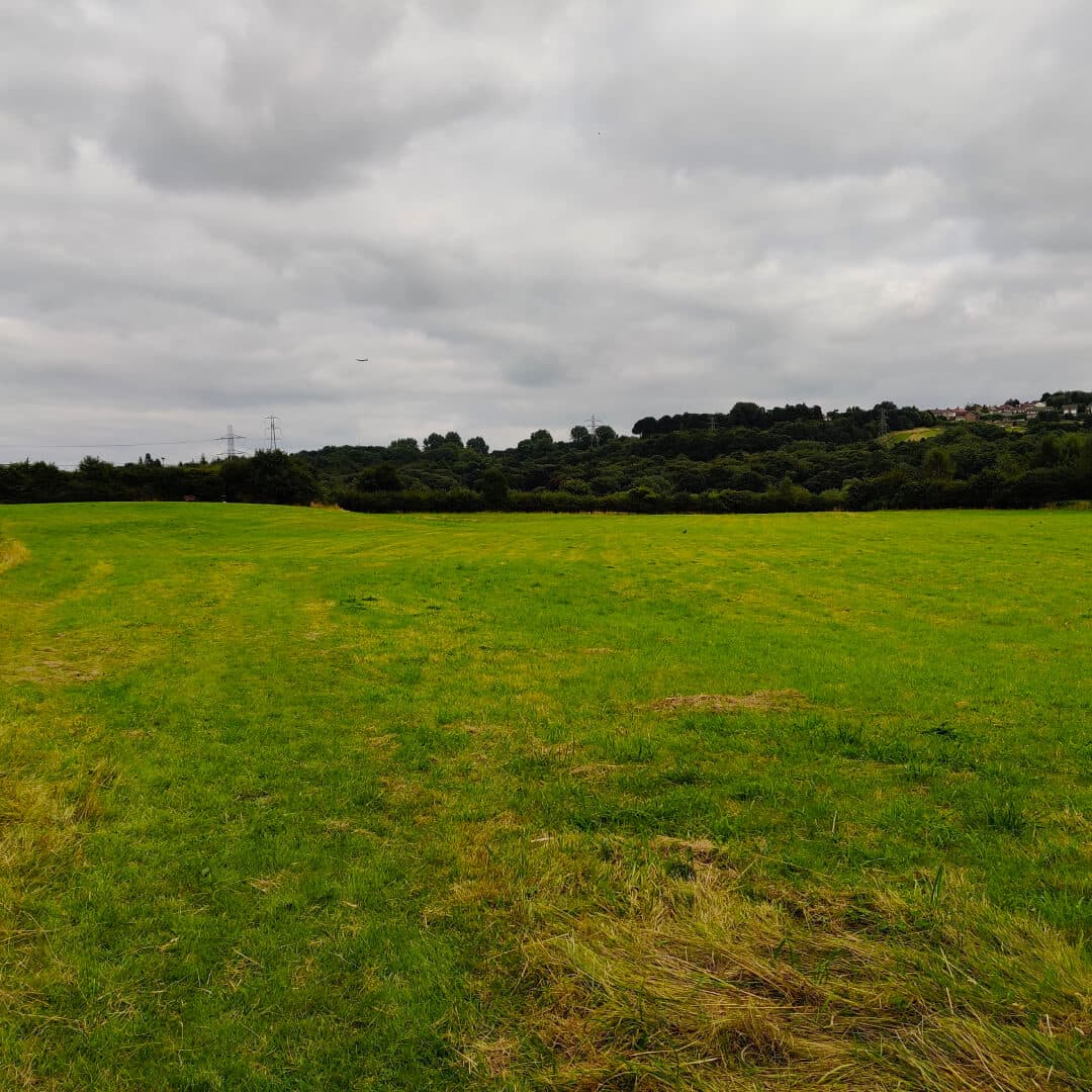 Rodley Nature Reserve field