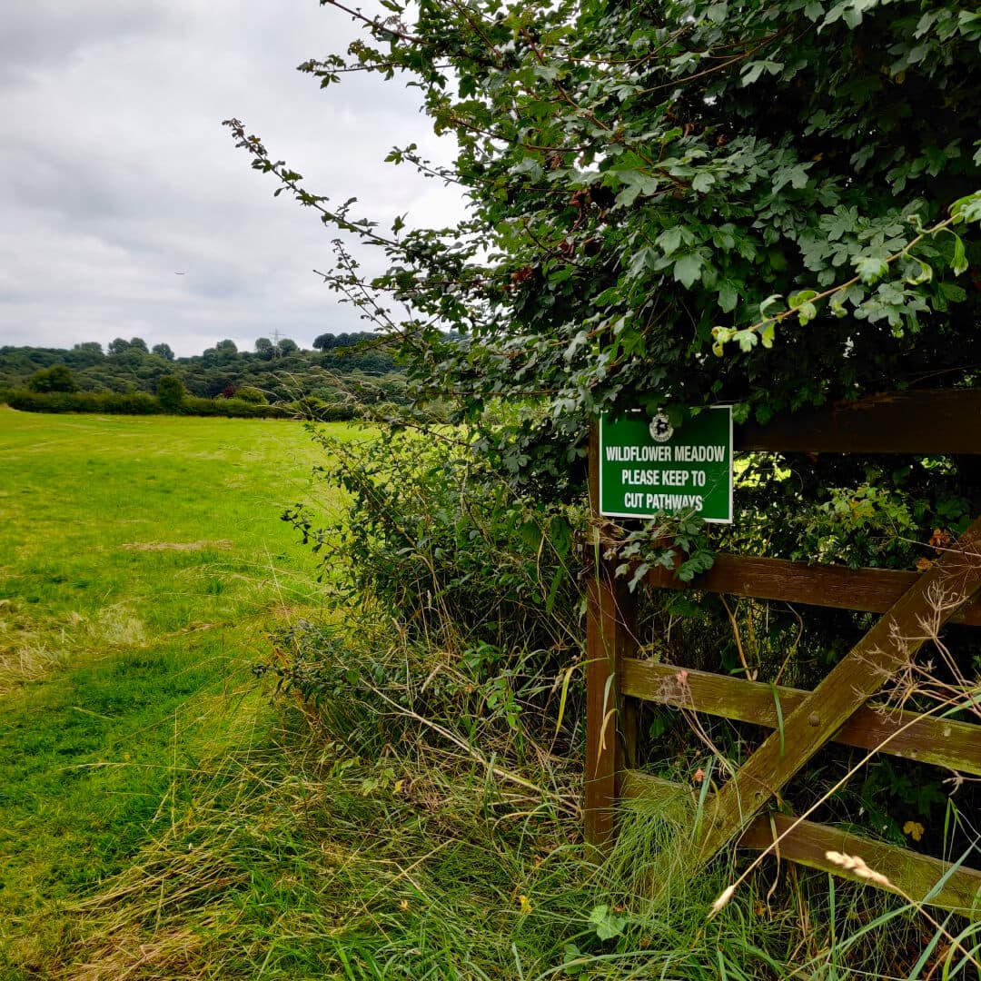 Rodley Nature Reserve field