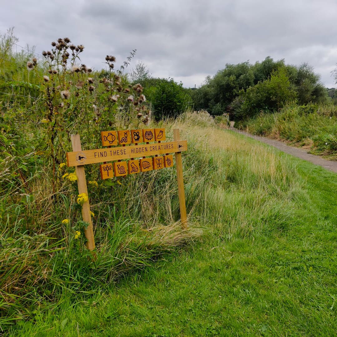 Rodley Nature Reserve