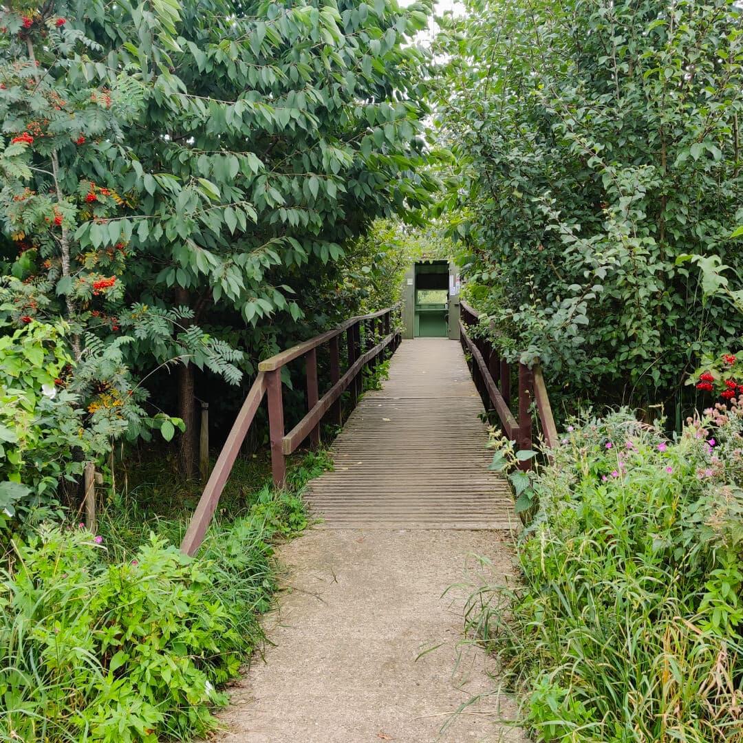 Rodley Nature Reserve path to hide