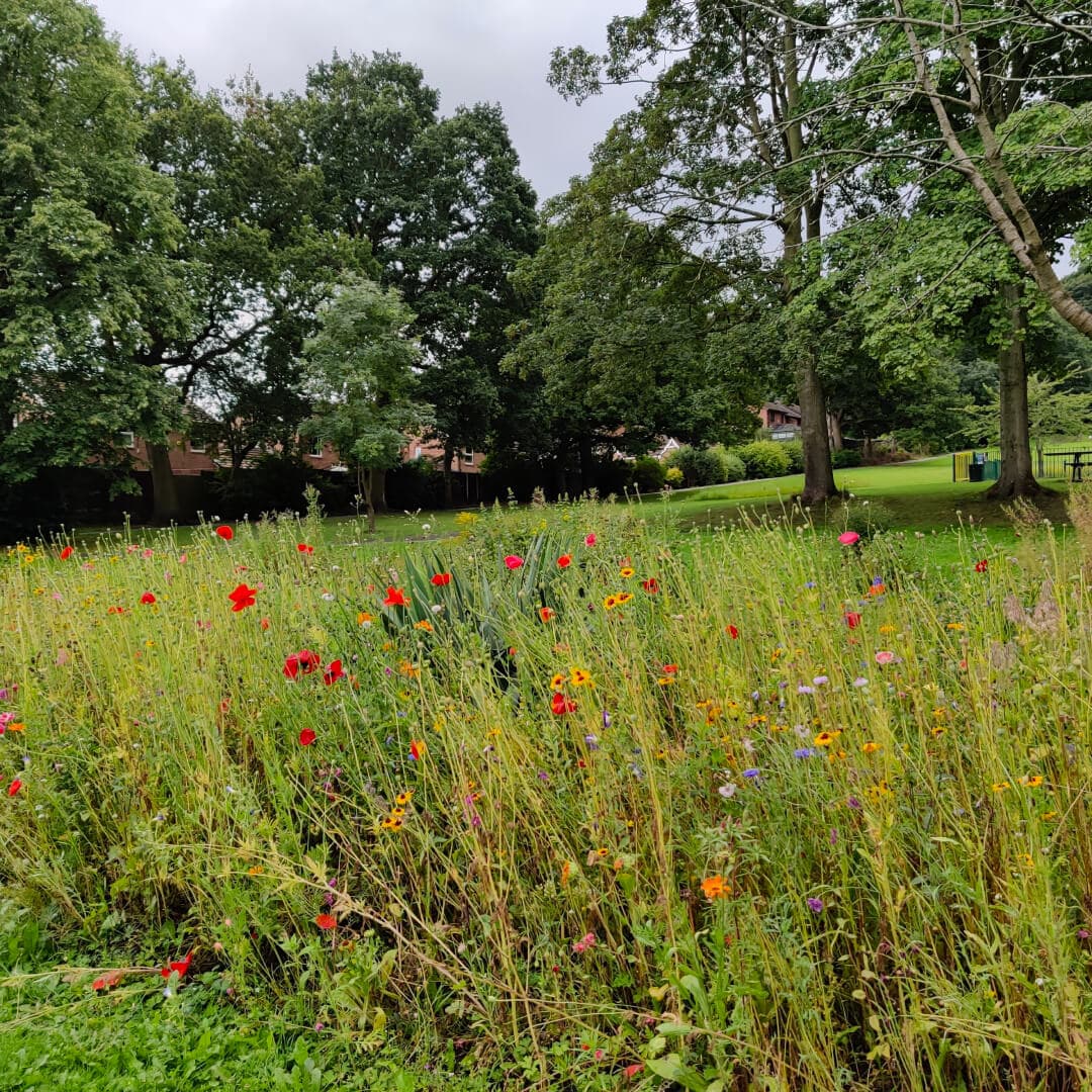 Rodley Park flowers