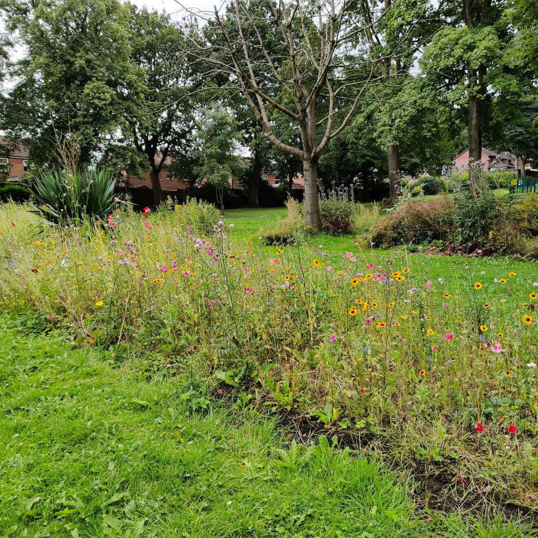 Rodley Park flowers