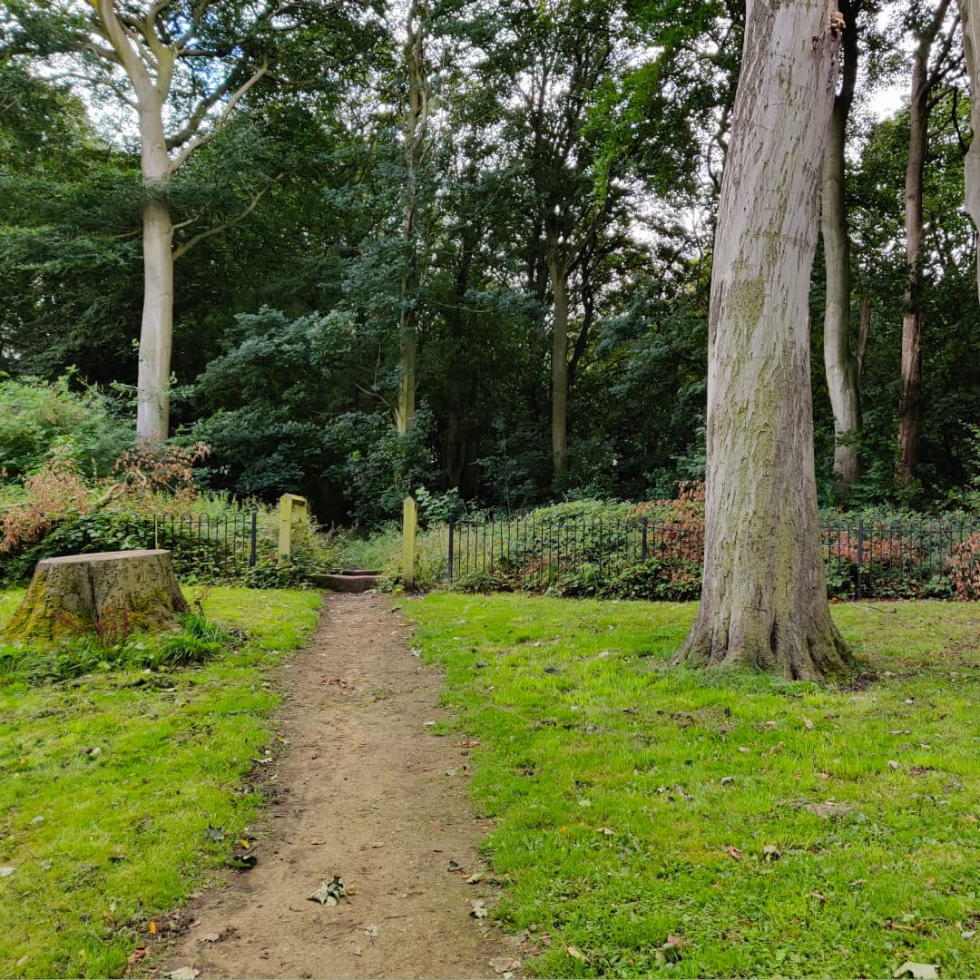 Farnley Hall Park path into woods