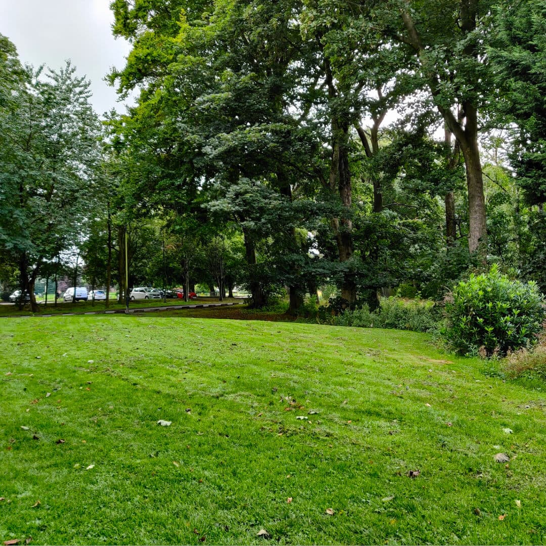 Farnley Hall Park path into woods