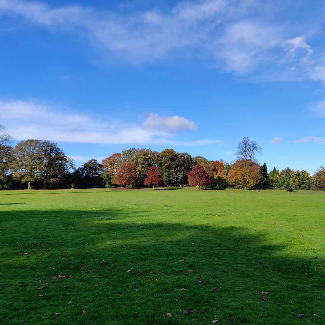 Farnley Hall Park field and sun blue sky