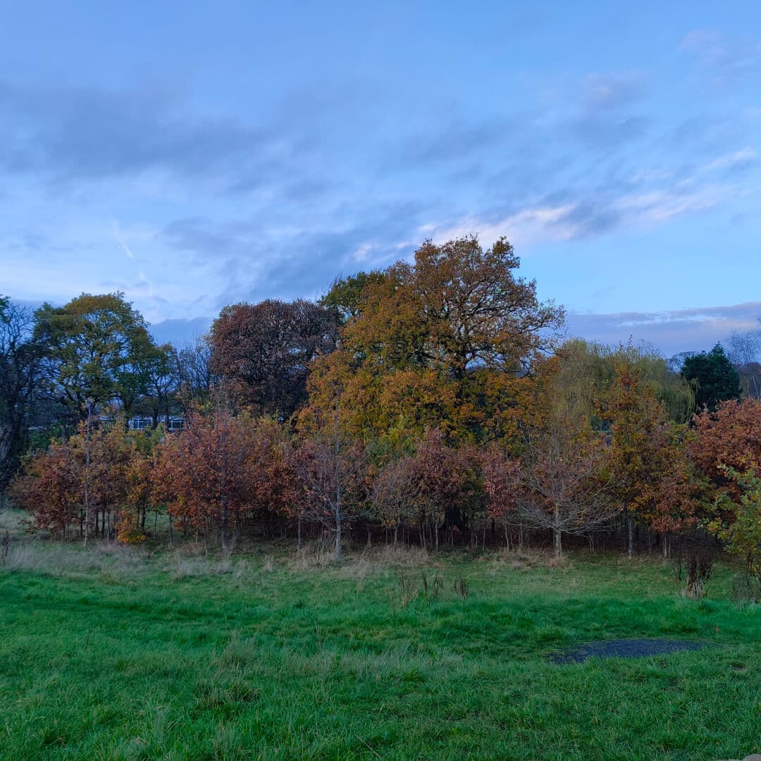 Moortown Park