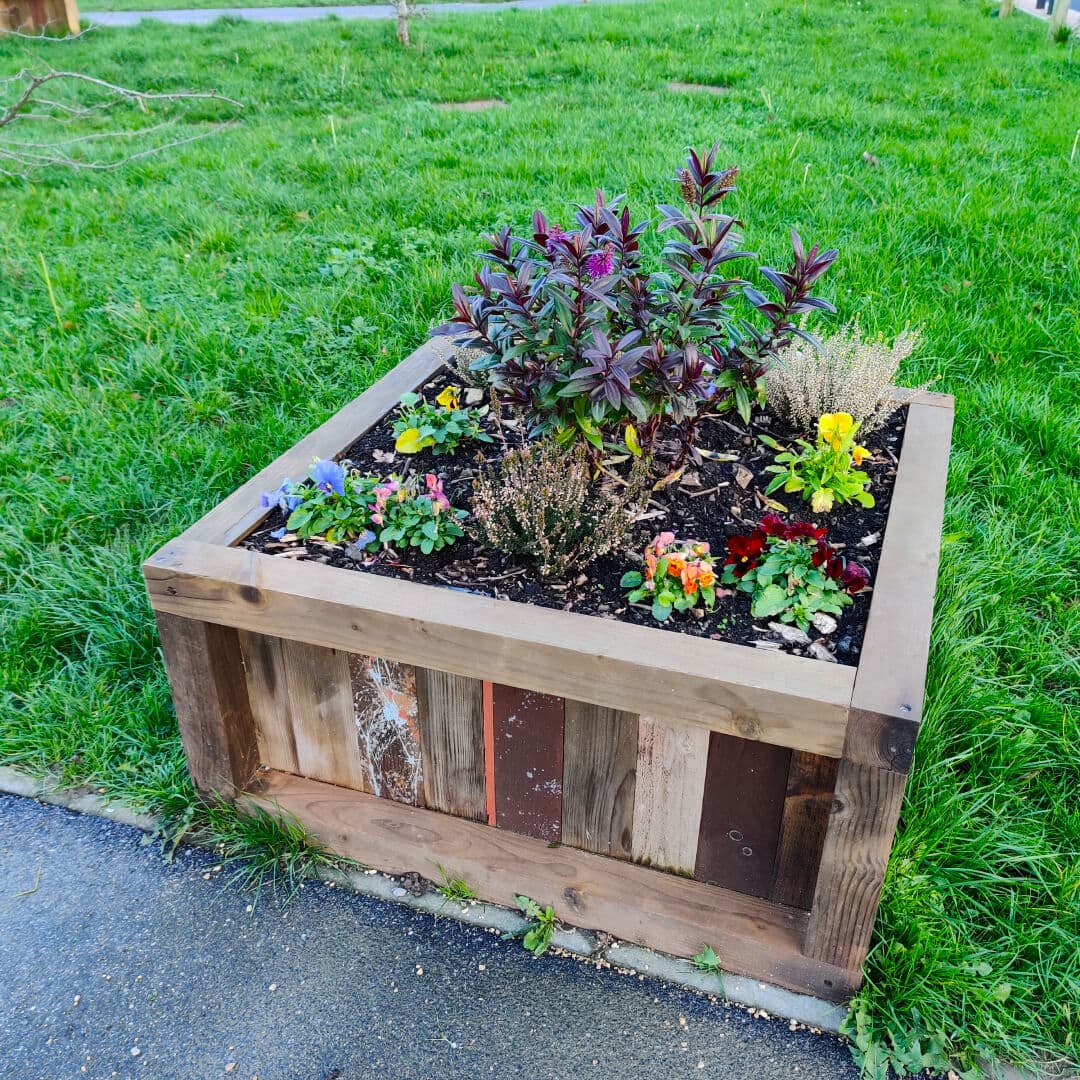 Moortown Park flowers