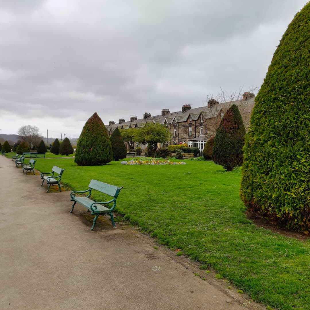 Wharfemeadows Park benches