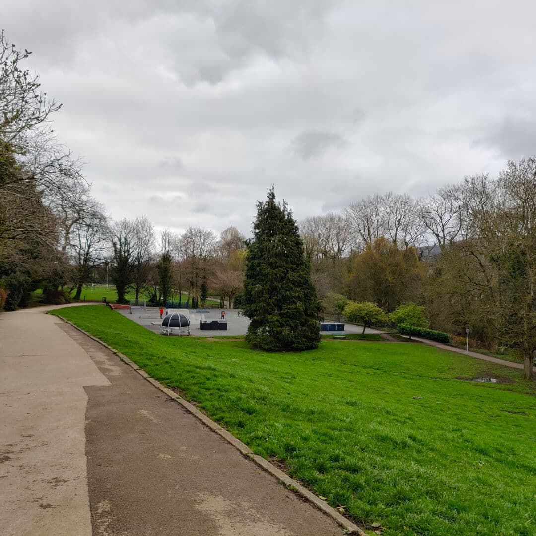 Wharfemeadows Park Skate Park