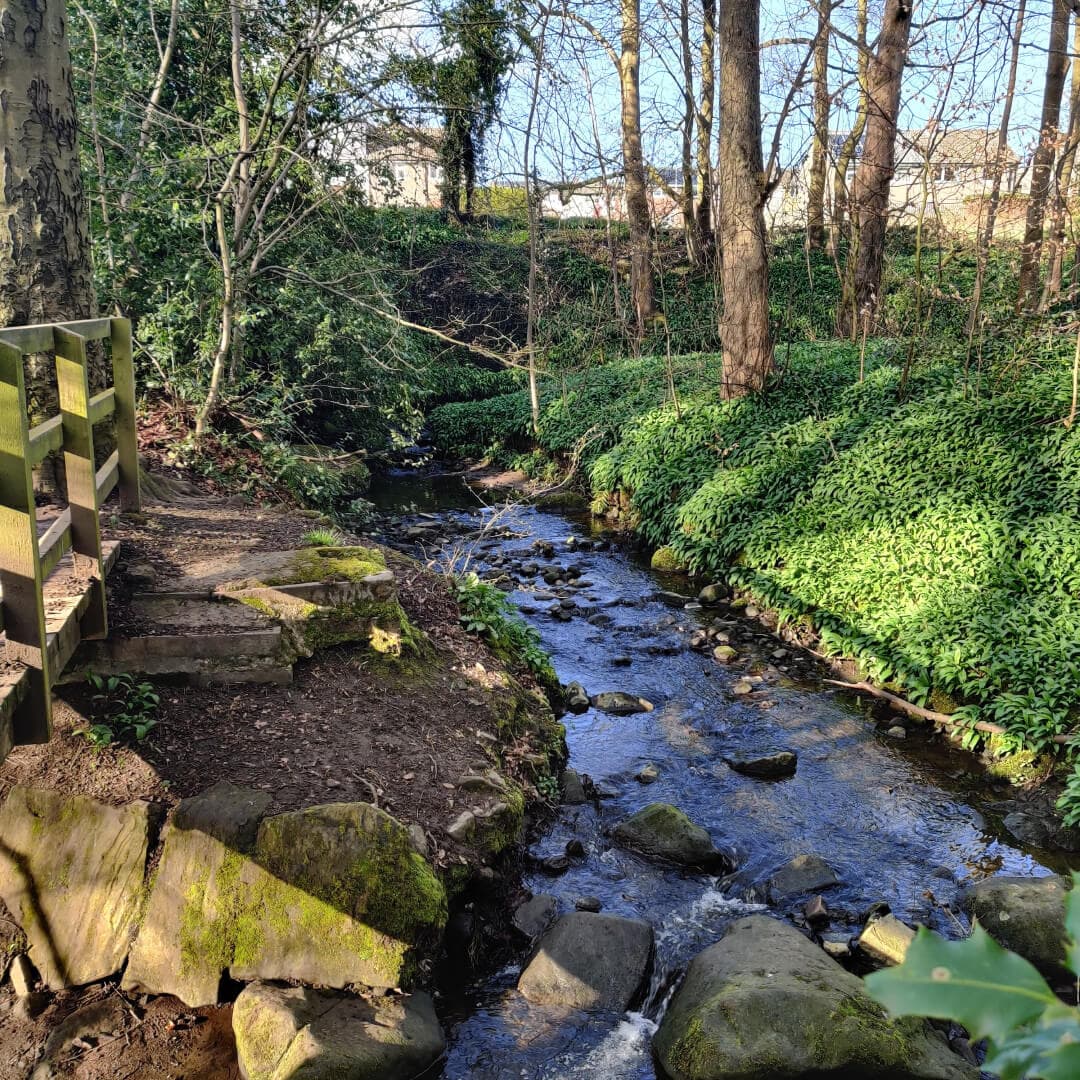 Nunroyd Park