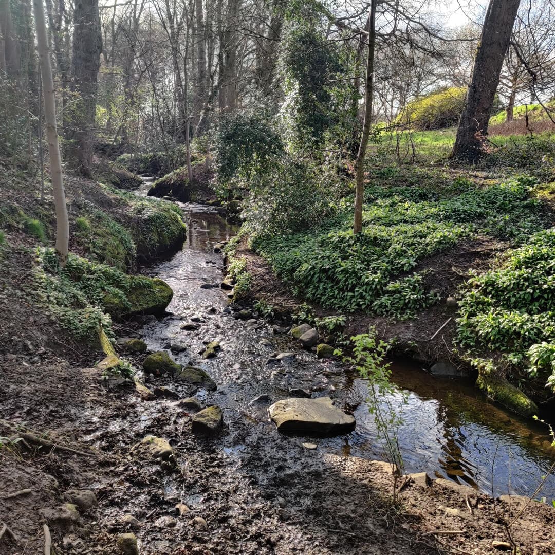 Nunroyd Park