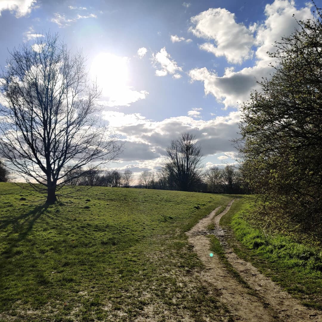 Kirk Lane Park