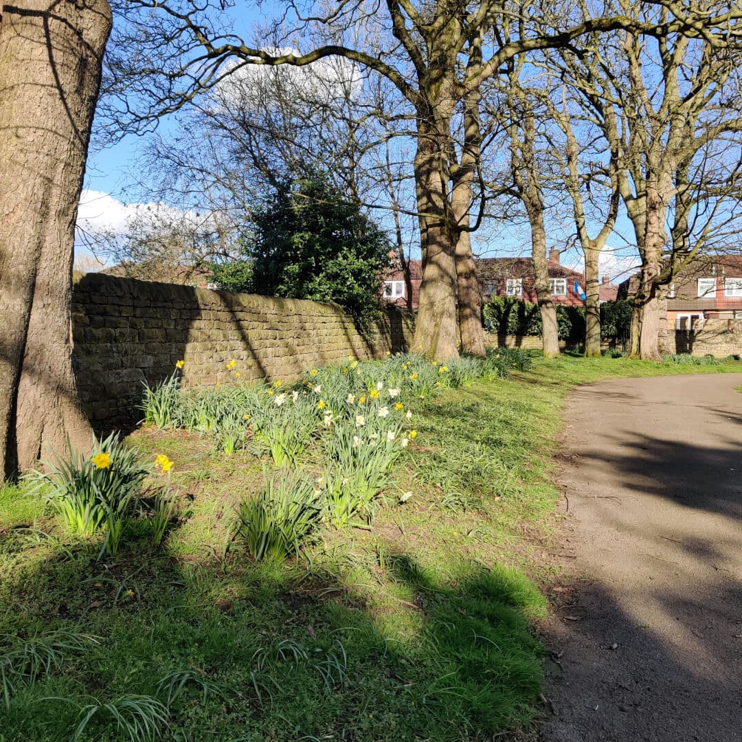 Kirk Lane Park
