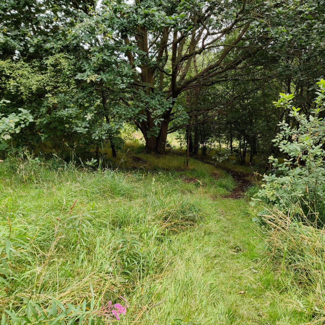 Sugarwell Hill Park Path