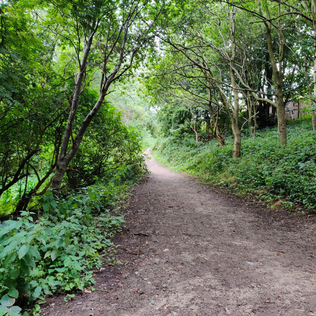 Sugarwell Hill Park Footpath