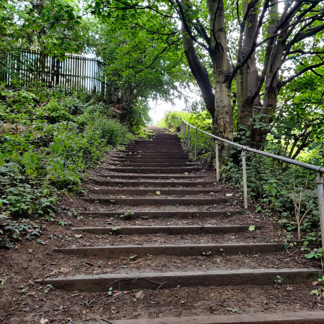 Sugarwell Hill Park steps