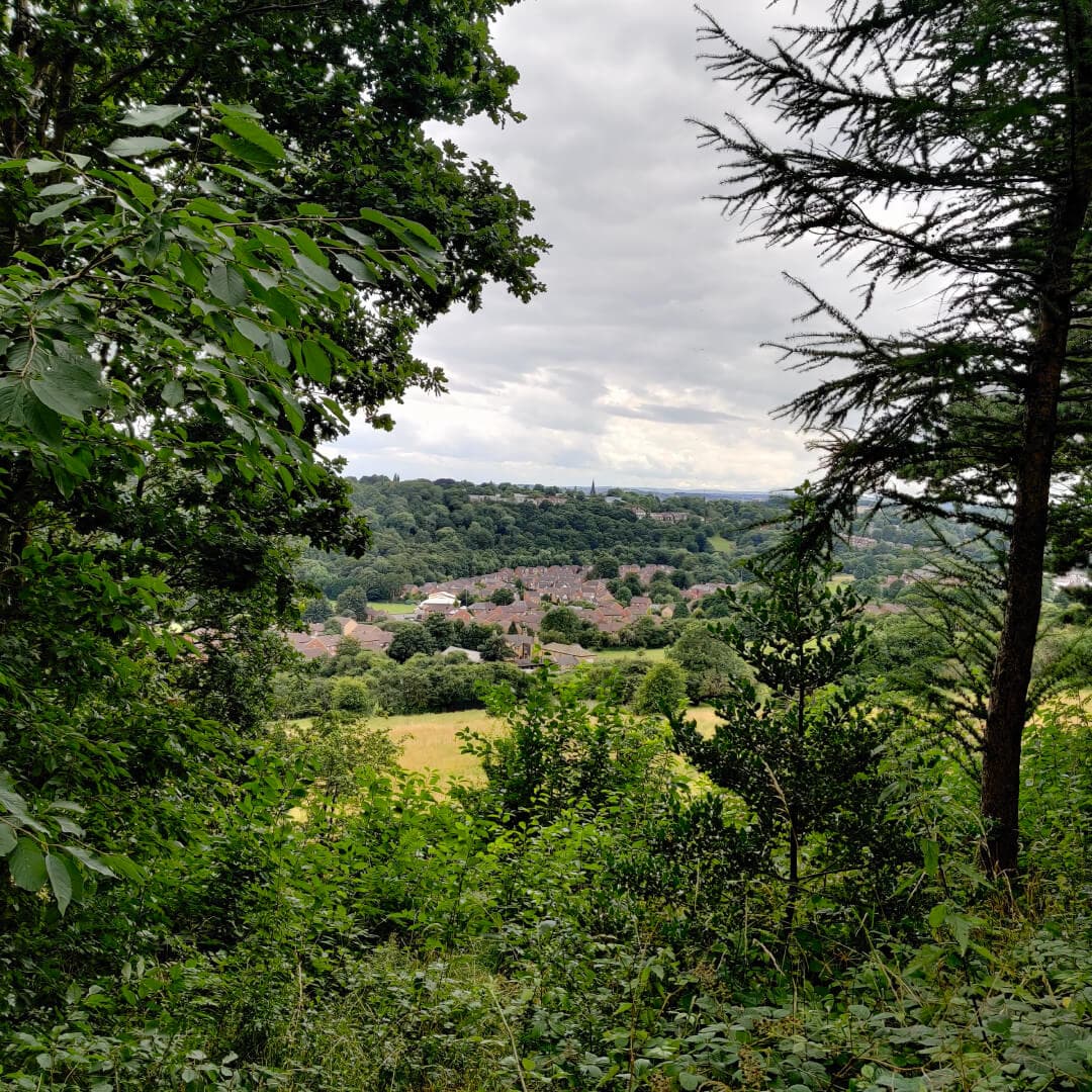 Sugarwell Hill Park view
