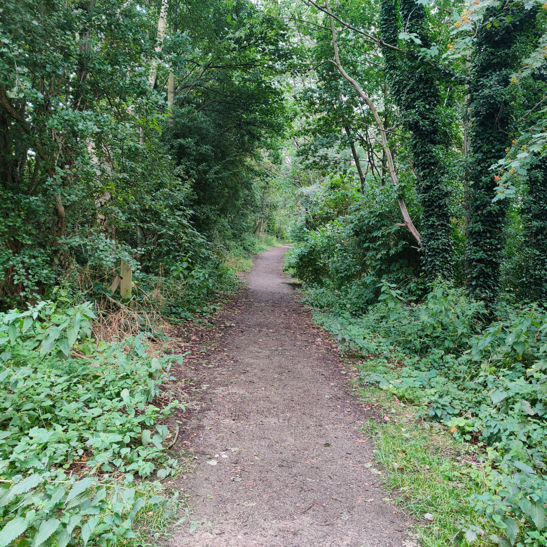Sugarwell Hill Park path