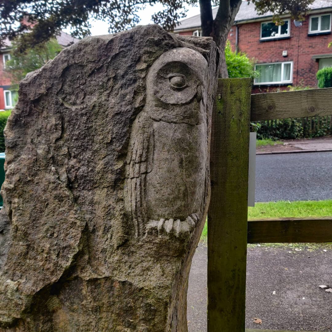 Sugarwell Hill Park owl
