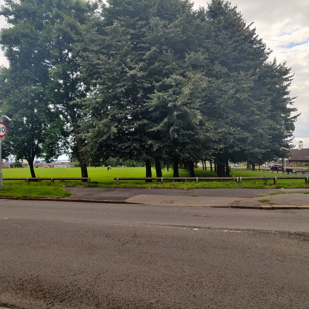 Scott Hall Playing Fields