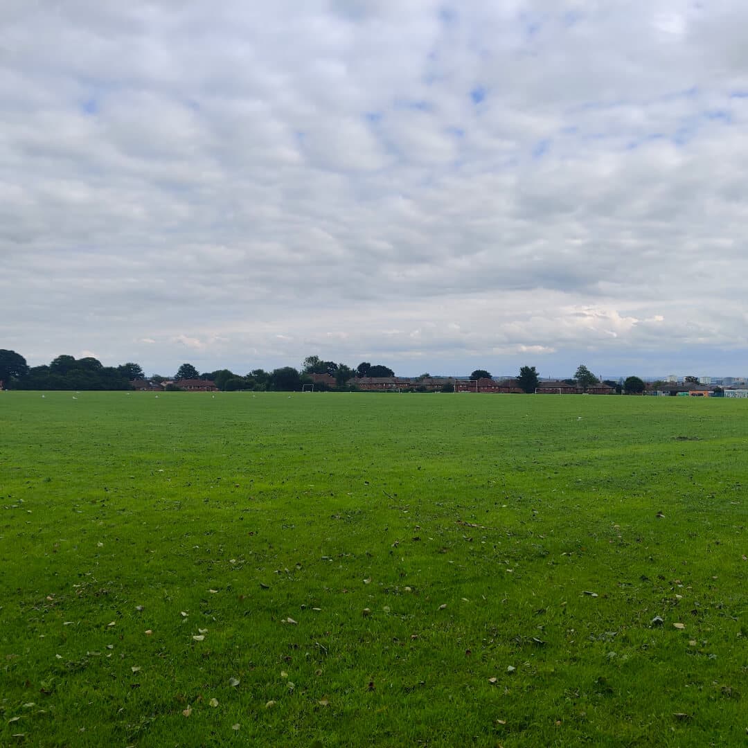 Scott Hall Playing Fields