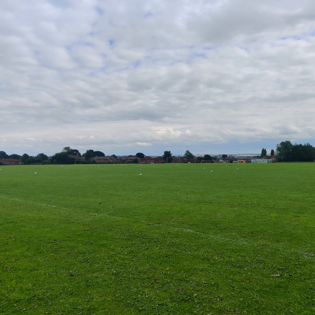 Scott Hall Playing Fields