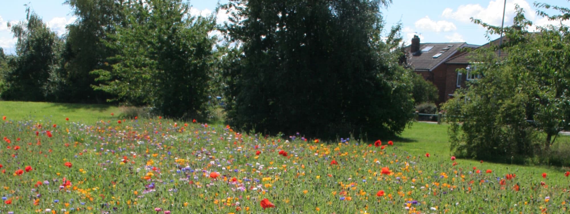 West Park Field