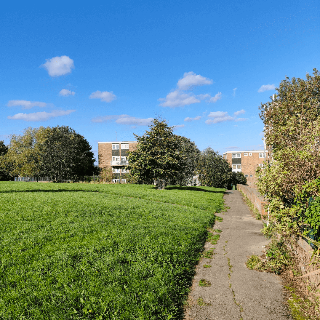 Armley Moor