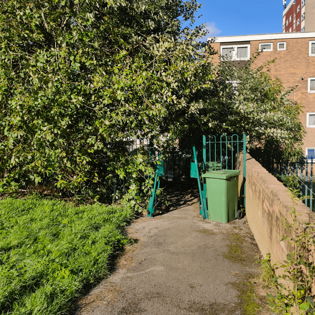 Armley Moor