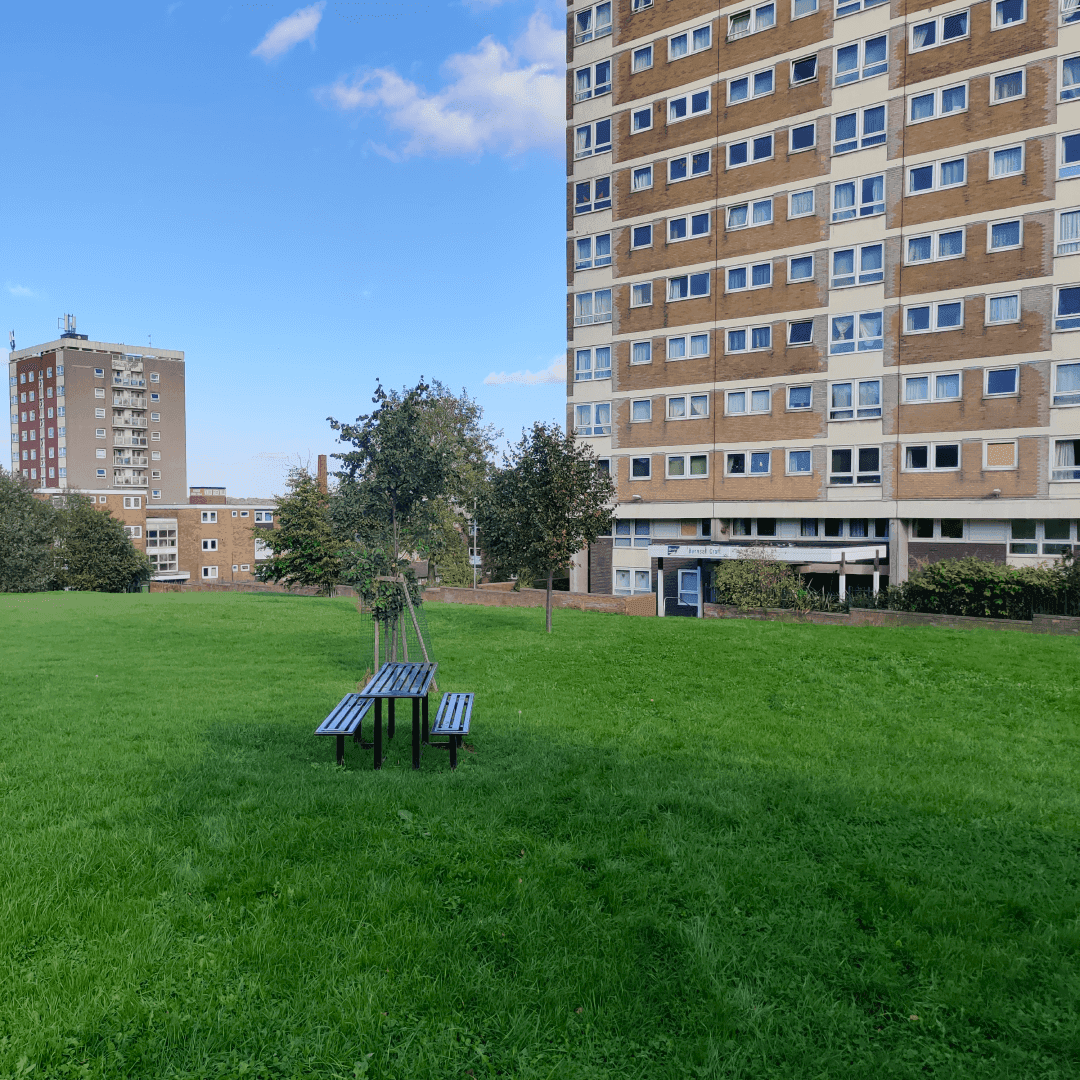 Armley Moor