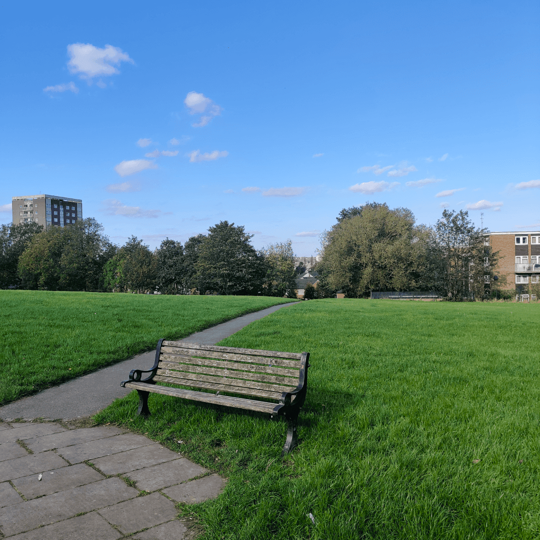 Armley Moor