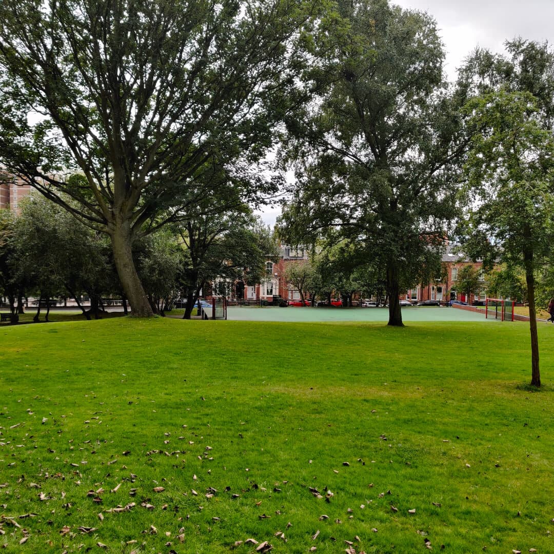 Hanover Square trees and football pitch