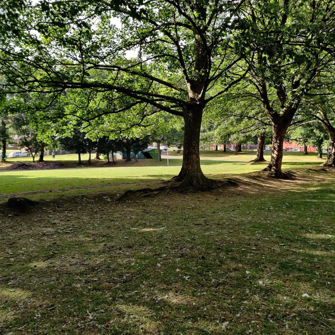 Lovell Park