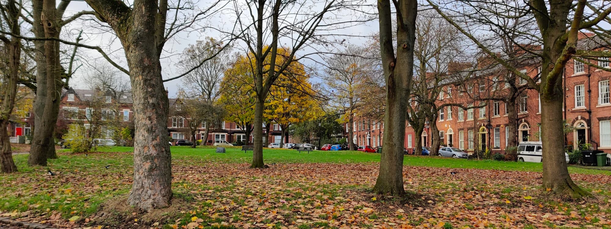 Blenheim Square
