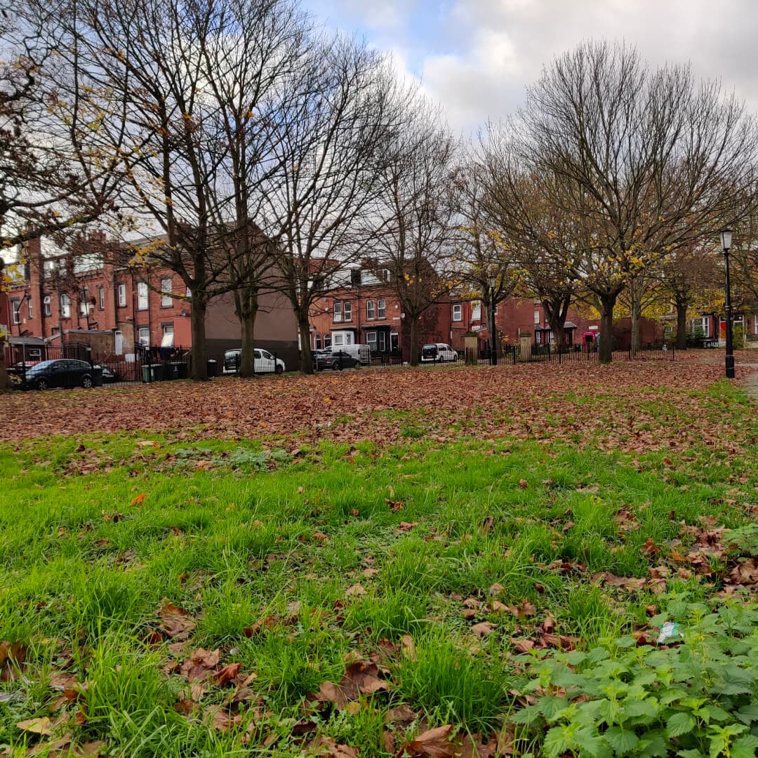 Blenheim Square