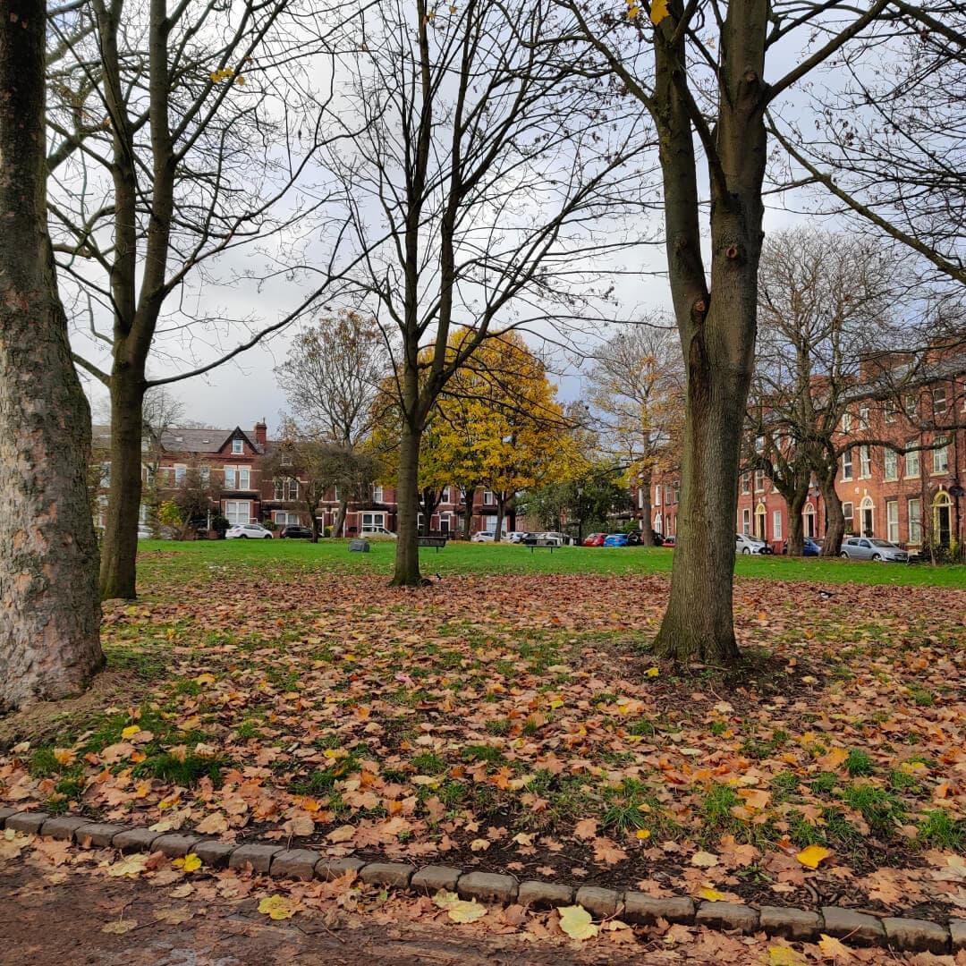 Blenheim Square