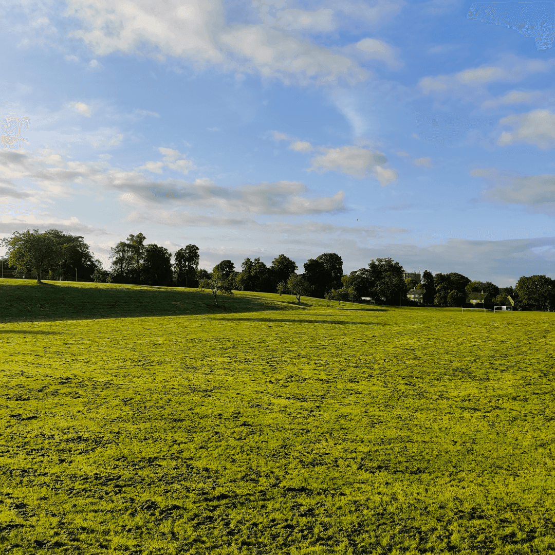 Allerton Grange Fields