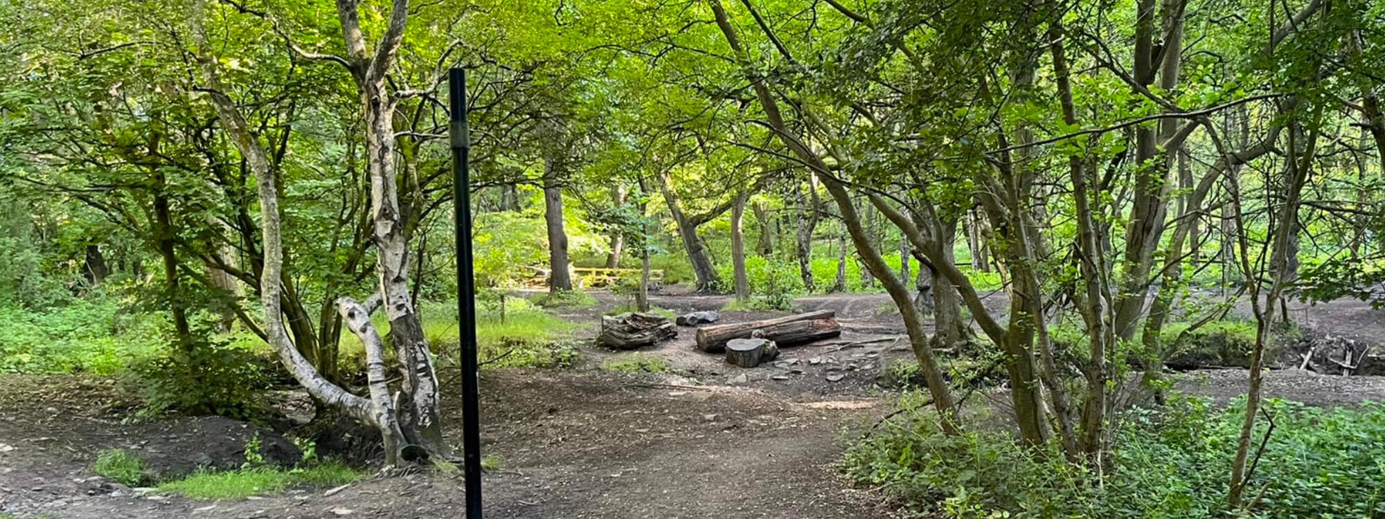 Black Carr Wood Leeds